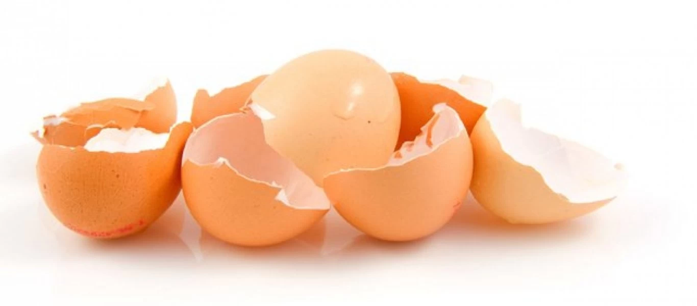 Οι φανταστικές ιδιότητες που έχουν τα τσόφλια αυγών